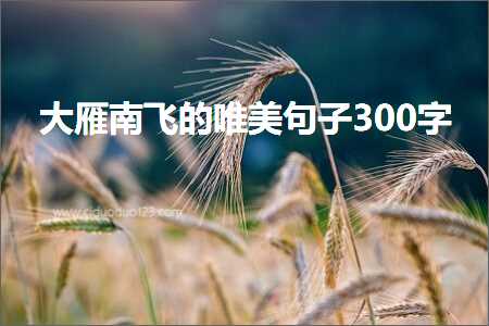 澶ч泚鍗楅鐨勫敮缇庡彞瀛?00瀛楋紙鏂囨258鏉★級